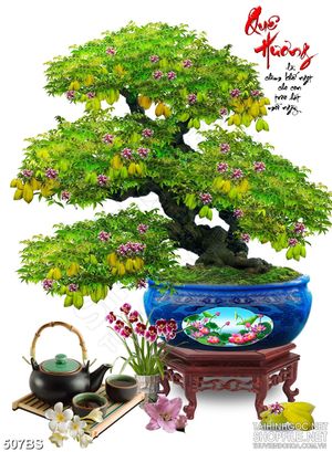 Tranh chậu bonsai in 3d cây khế đơm trái và hai chữ Quê Hương