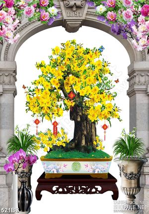 Tranh chậu bonsai mai vàng nở rộ khoe sắc đón xuân sang wall 3d