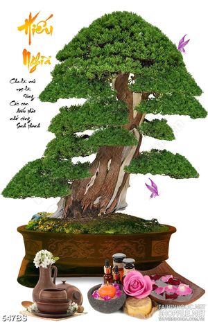 Tranh chậu bonsai wall 3d thư pháp hiếu nghĩa bên đàn bướm