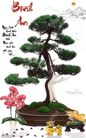 Tranh chậu bonsai nghệ thuật cây tùng bên tượng sư tử vàng