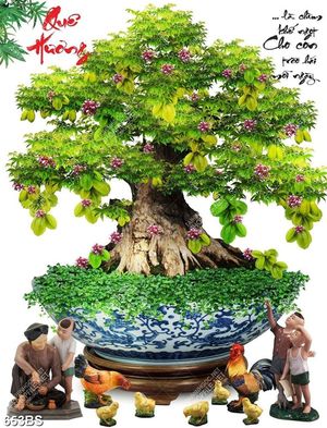 Tranh chậu bonsai cây khế sai quả bên tượng gà trống in 3d