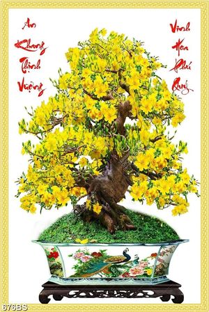 Tranh chậu bonsai trang trí cây mai vàng bên câu đối