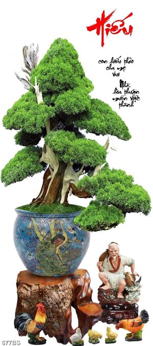 Tranh chậu bonsai cây bách tùng bên tường chú gà trống 3d