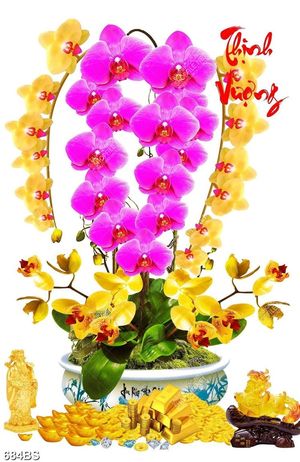 Tranh chậu bonsai nghệ thuật hoa phong lan tím khoe sắc