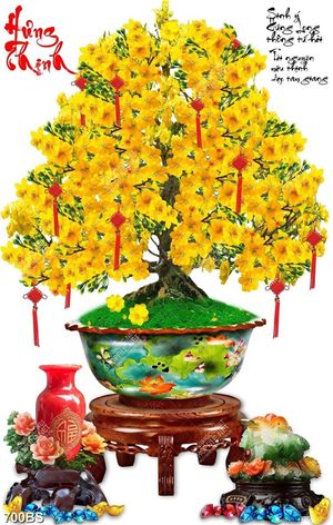 Tranh chậu bonsai cây mai vàng và tượng cóc ngọc trang trí