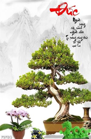 Tranh chậu bonsai psd cây bách tùng và chậu hoa lan tím