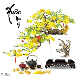 Tranh chậu bonsai cây mai vàng bên ấm trà chiều in 3d