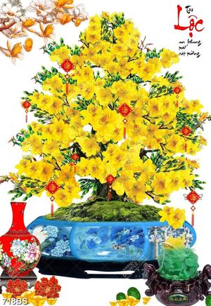 Tranh chậu bonsai nghệ thuật cây mai vàng bên bình gốm