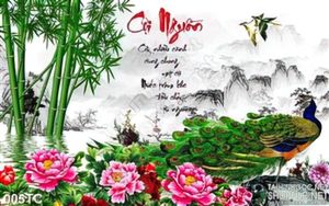 Tranh chim công cội nguộn và cây tre wall