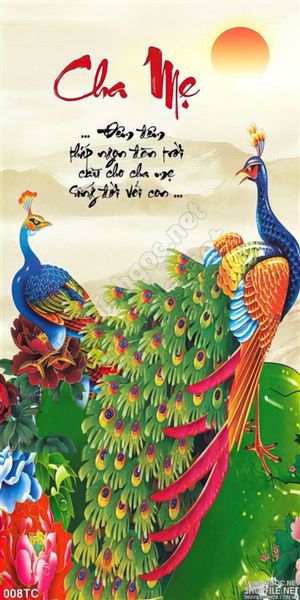 Tranh chim công in uv về chữ thư pháp cha mẹ