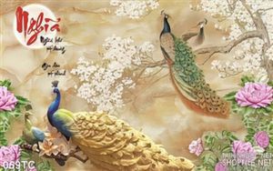 Tranh chim công wall 3d từ nghĩa đẹp ấn tượng