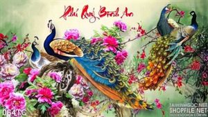 Tranh chim công phú quý bình an 3d
