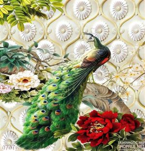 Tranh chim công cô đơn đứng 1 mình đẹp