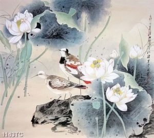 Tranh chim và hoa Sen