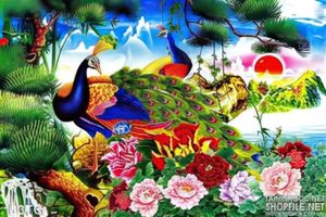 Tranh chim công sơn dầu cảnh mặt trời mọc