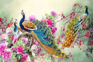Tranh hoa mẫu đơn và chim công