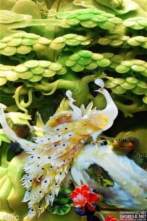 Tranh chim công và cây tùng màu xanh đẹp