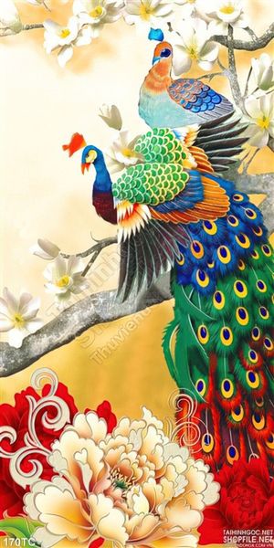 Tranh chim công xòe đuôi khoe sắc