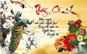Tranh chim công thầy cô ý nghĩa 3d