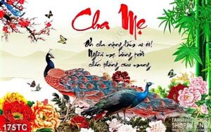 Tranh chim công cha mẹ báo hiếu psd