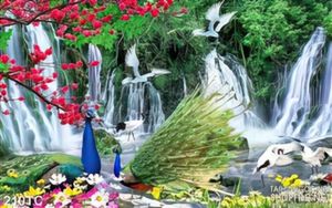 Tranh chim công xòe đuôi bên thác nước wal đẹp
