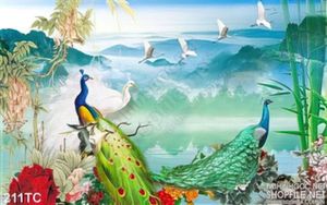 Tranh chim công lộng lẫy và đàn cò trắng psd
