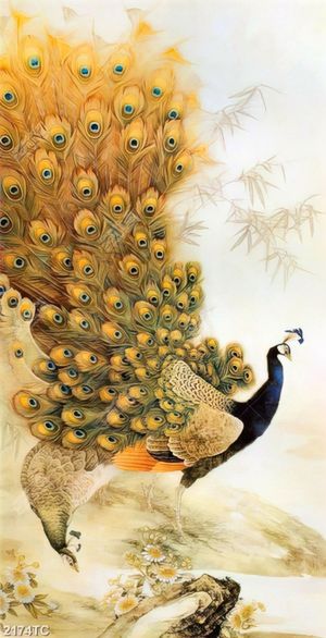 Tranh chim công sơn dầu in canvas