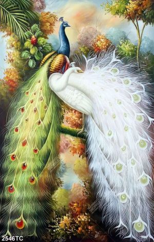 Tranh sơn dầu chim công in canvas đẹp