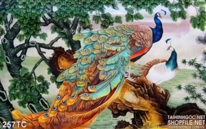 Tranh chim công tán tình và khu rừng già in uv 3d