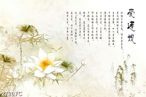 Tranh Sen và thư pháp Trung Hoa