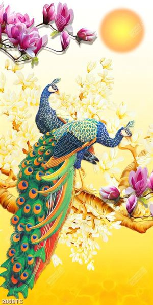 Tranh công và hoa mộc lan