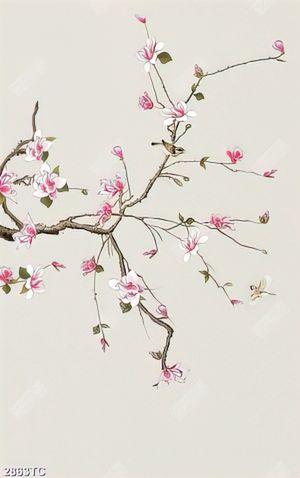 Tranh hoa mộc lan dán tường