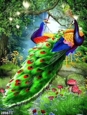 Tranh chim công trong rừng huyền ảo