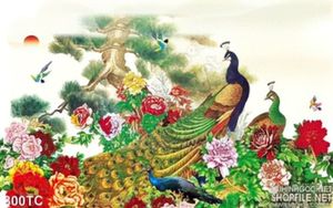 Tranh chim công và hoa mẫu đơn vẽ tay psd