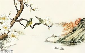 Tranh hoa mộc lan và núi