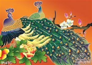 Tranh chim công vẽ tay ấn tượng in uv