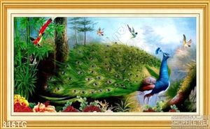 Tranh chim công đực xòe đuôi ấn tượng