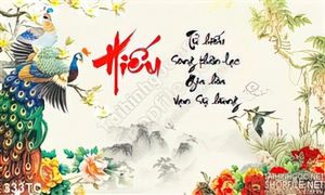 Tranh chim công hiếu đẹp 3d
