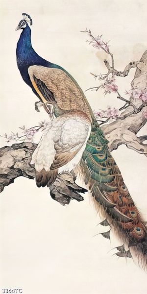 Tranh chim công in canvas đẹp