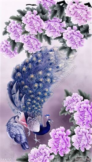 Tranh chim công và hoa màu tím