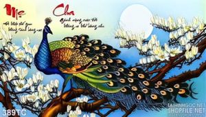 Tranh chim công cha mẹ xòe đuôi khoe sắc