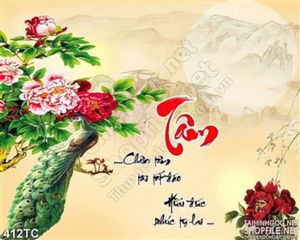 Tranh chim công 3d tâm và ánh trăng bên sườn núi