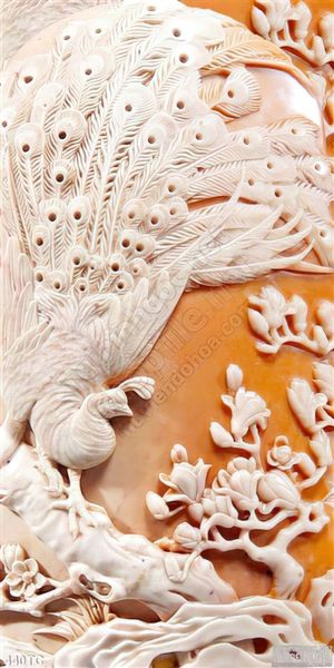 Tranh chim công phù điều màu trắng đẹp 3d
