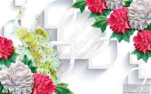 Tranh chim công 3d và hoa hồng đỏ psd