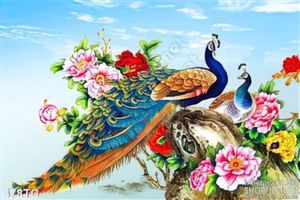 Tranh chim công và bầu trời trong xanh