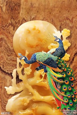 Tranh chim công 3d giả ngọc ánh trắng