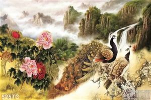 Tranh chim công phong thủy ấn tượng đẹp