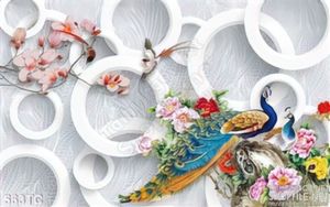 Tranh chim công 3d và những cái vòng tròn