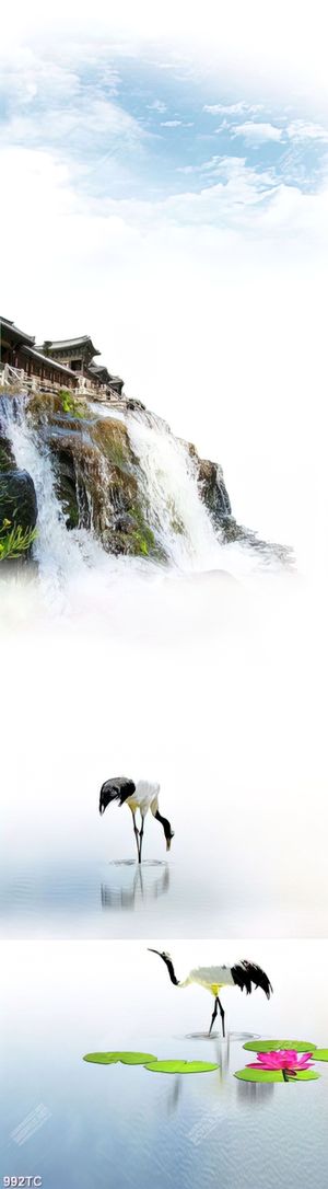 Tranh phong thủy chim Hạc