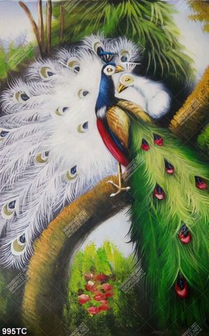 Tranh sơn dầu đôi chim công in canvas đẹp